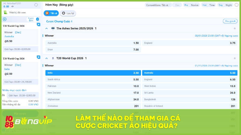 Chinh phục cá cược Cricket ảo BONGVIP không khó với các mẹo hay
