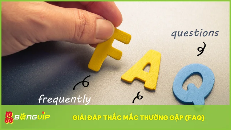 Tổng hợp các câu hỏi phổ biến giúp bạn hiểu rõ hơn trước khi chính thức tham gia BongVip IO88