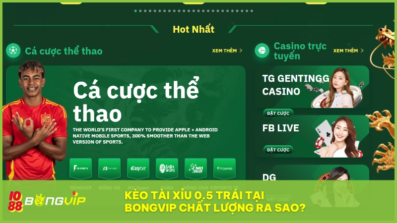 Kèo tài xỉu 0.5 tại BONGVIP đảm bảo minh bạch, cập nhật nhanh