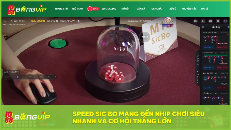 Speed Sic Bo mang đến nhịp chơi siêu nhanh và cơ hội thắng lớn trong từng giây cược.