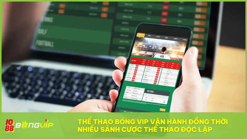 Thể thao Bóng Vip đang vận hành đồng thời nhiều sảnh cược thể thao độc lập