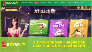 Xì Dách tại BongVip không chỉ là game giải trí mà còn là cơ hội thể hiện tư duy chiến thuật và kỹ năng làm chủ sòng bài